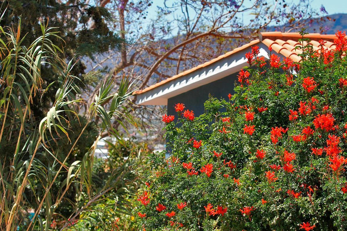 Casa Esther El Paso Exteriör bild